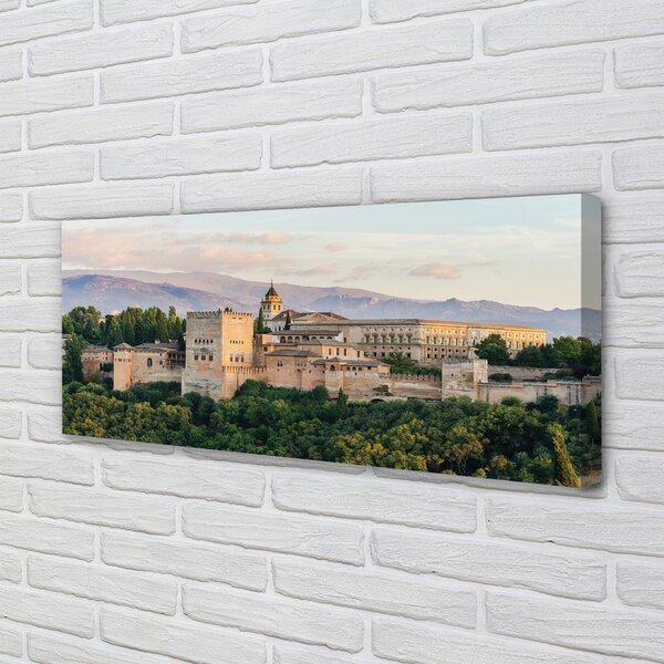 Tablouri canvas Spania Castelul de pădure de munte