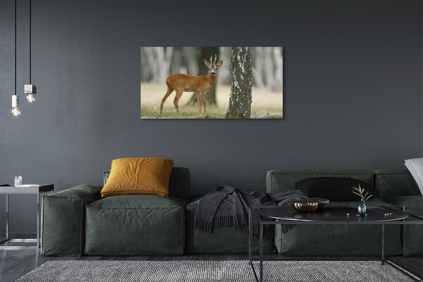 Tablouri canvas pădure cerb