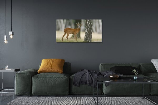 Tablouri canvas pădure cerb