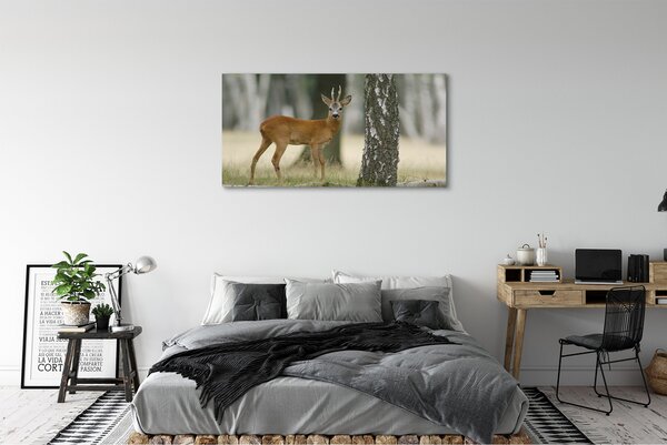 Tablouri canvas pădure cerb