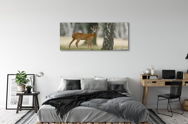 Tablouri canvas pădure cerb