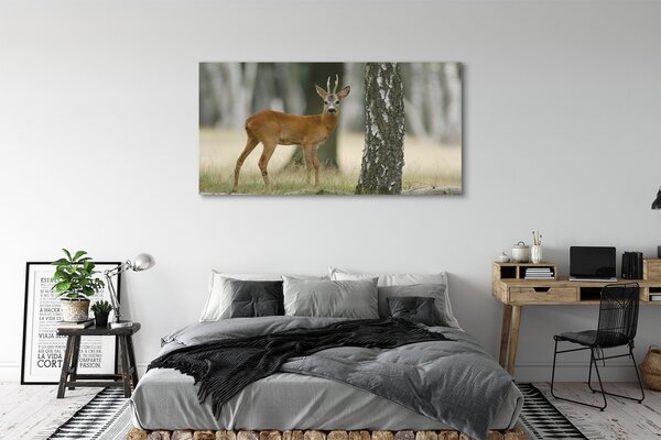 Tablouri canvas pădure cerb