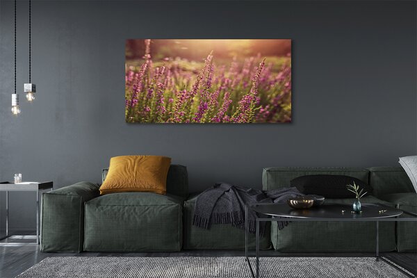 Tablouri canvas câmp Heather