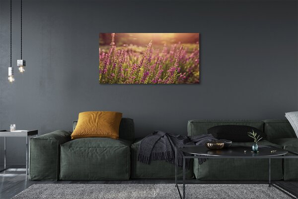 Tablouri canvas câmp Heather