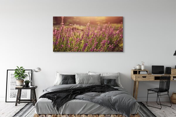 Tablouri canvas câmp Heather