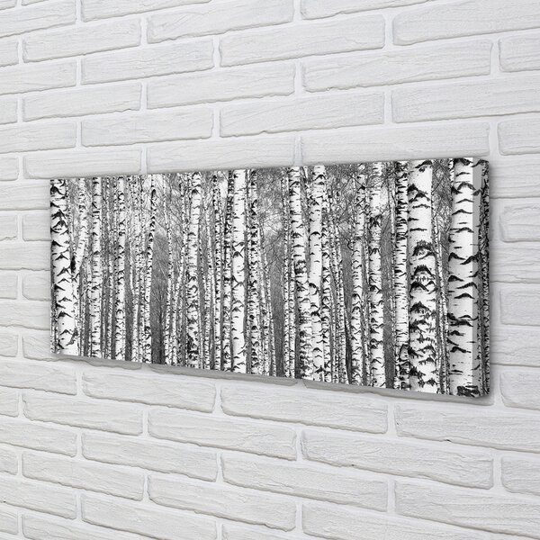 Tablouri canvas copac alb-negru