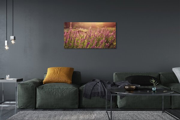 Tablouri canvas câmp Heather