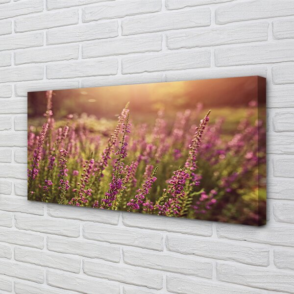 Tablouri canvas câmp Heather