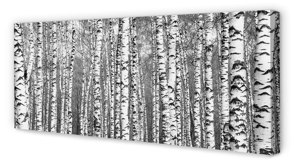 Tablouri canvas copac alb-negru