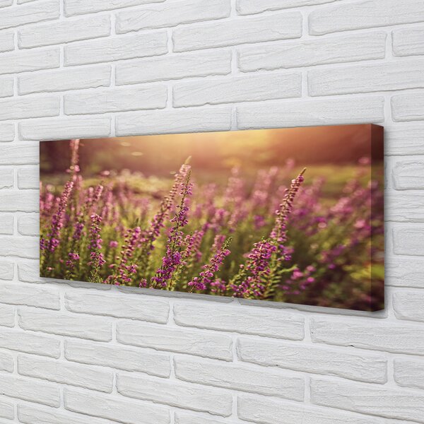 Tablouri canvas câmp Heather