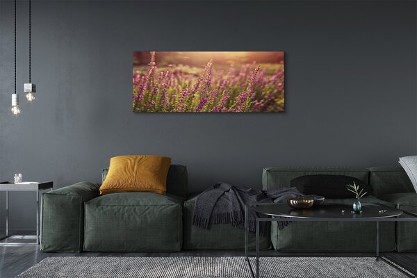 Tablouri canvas câmp Heather
