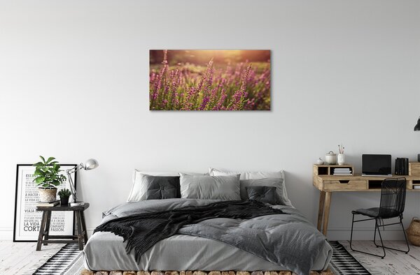 Tablouri canvas câmp Heather