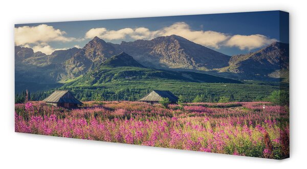 Tablouri canvas vile top box