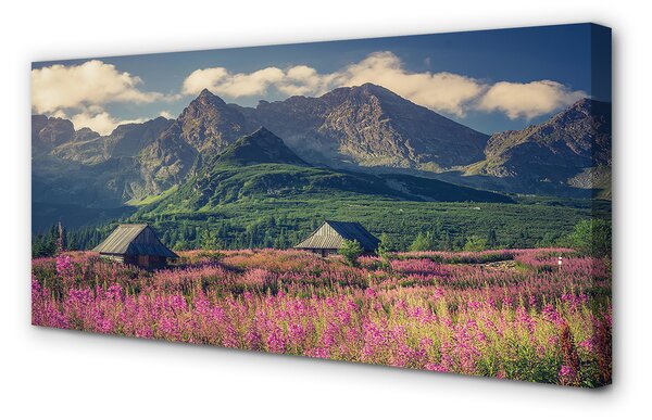 Tablouri canvas vile top box
