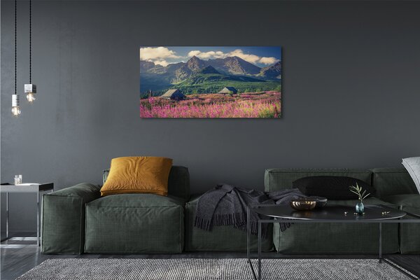 Tablouri canvas vile top box