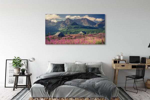 Tablouri canvas vile top box