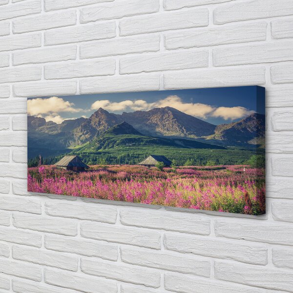 Tablouri canvas vile top box