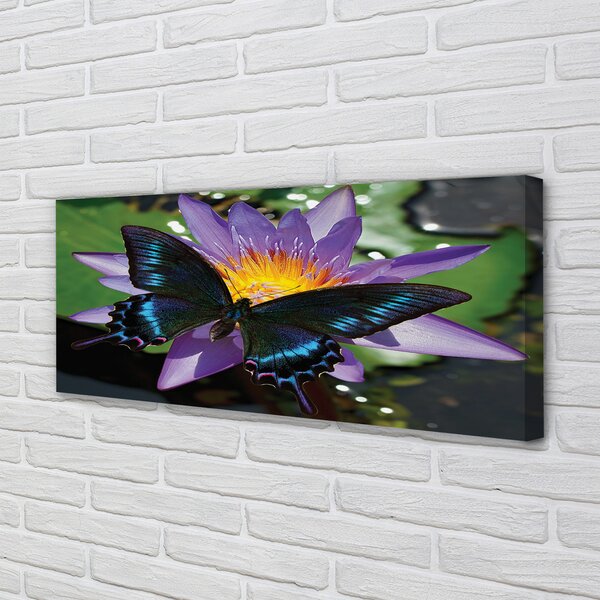 Tablouri canvas floare fluture