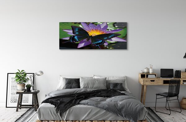 Tablouri canvas floare fluture
