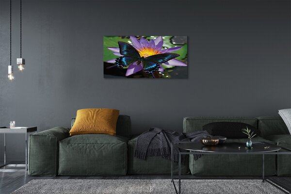 Tablouri canvas floare fluture