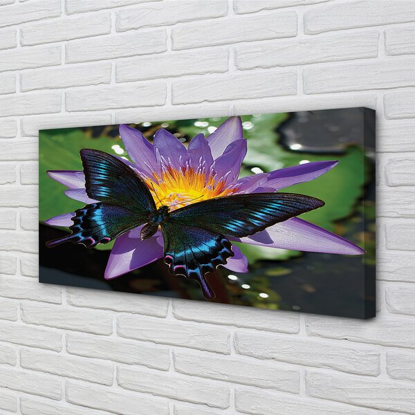 Tablouri canvas floare fluture