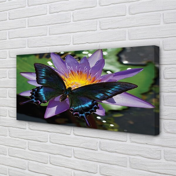 Tablouri canvas floare fluture