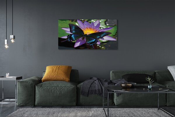 Tablouri canvas floare fluture