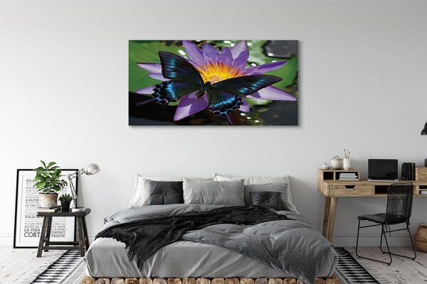 Tablouri canvas floare fluture