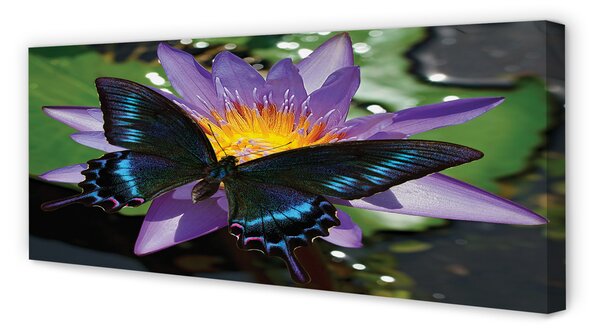 Tablouri canvas floare fluture