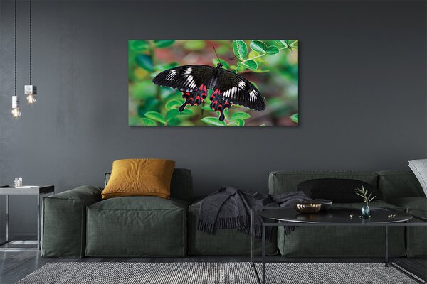 Tablouri canvas Frunze fluture colorat