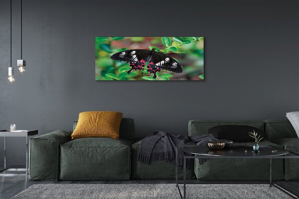 Tablouri canvas Frunze fluture colorat