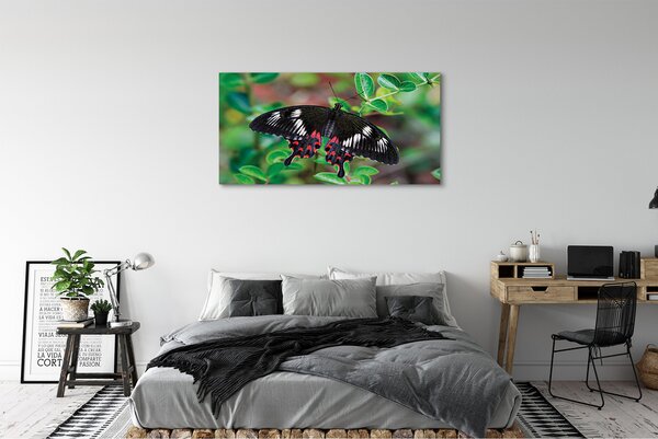 Tablouri canvas Frunze fluture colorat
