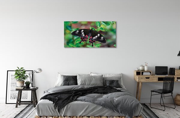 Tablouri canvas Frunze fluture colorat