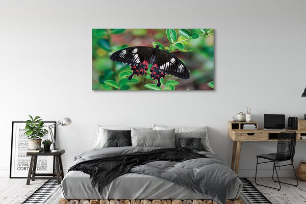 Tablouri canvas Frunze fluture colorat