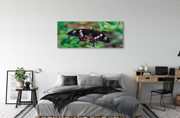 Tablouri canvas Frunze fluture colorat