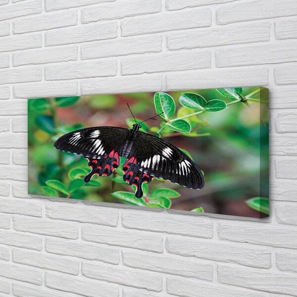 Tablouri canvas Frunze fluture colorat