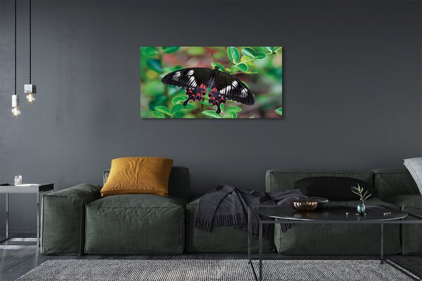 Tablouri canvas Frunze fluture colorat