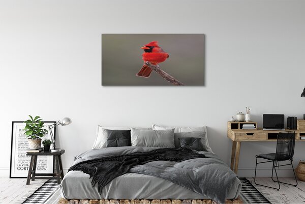 Tablouri canvas papagal roșu pe o ramură