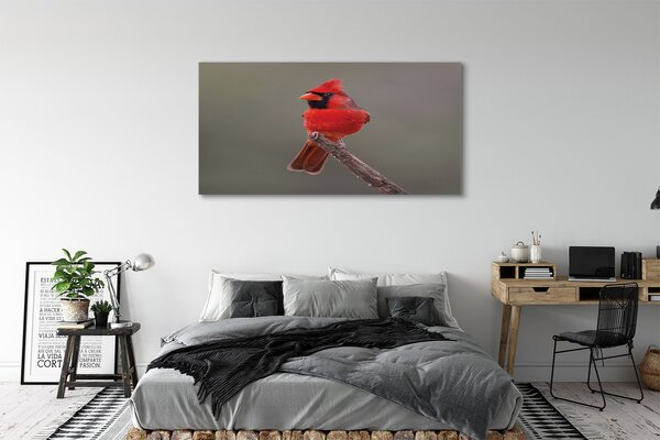Tablouri canvas papagal roșu pe o ramură