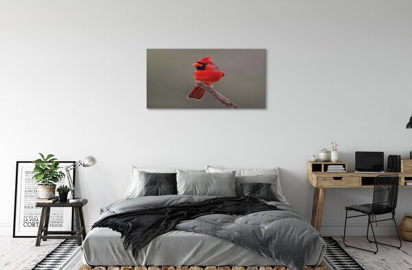 Tablouri canvas papagal roșu pe o ramură