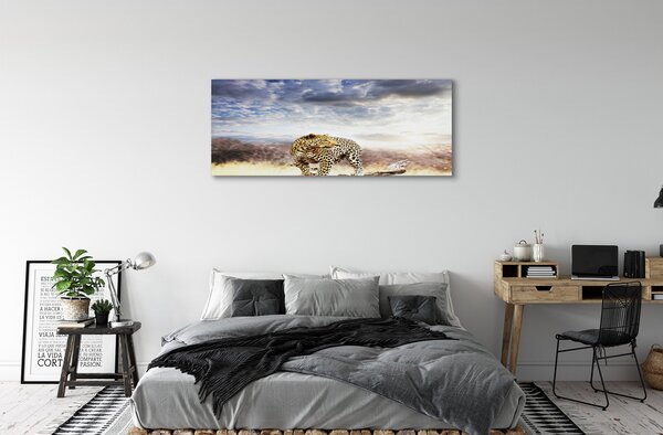 Tablouri canvas nori Panther