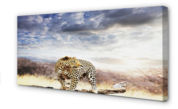 Tablouri canvas nori Panther