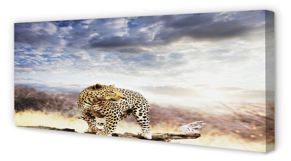 Tablouri canvas nori Panther