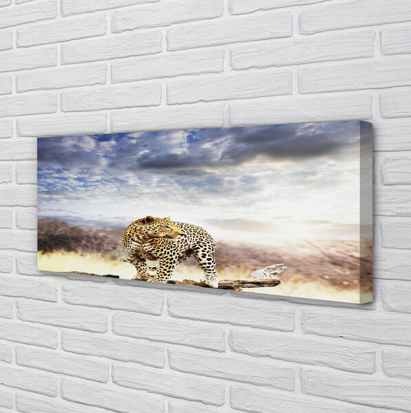 Tablouri canvas nori Panther
