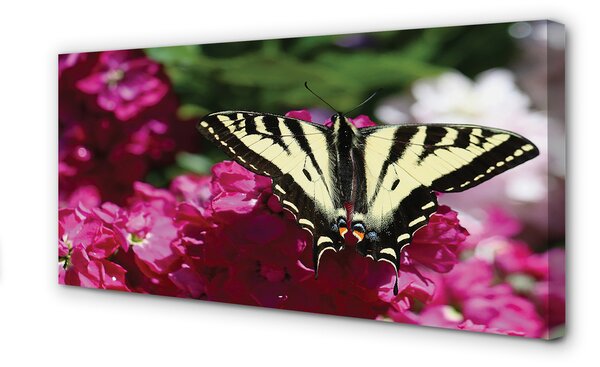 Tablouri canvas flori fluture