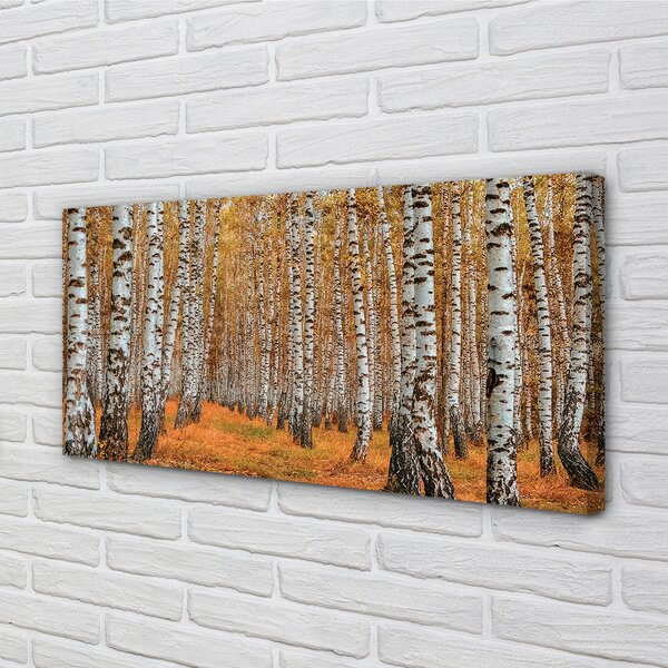 Tablouri canvas copaci de toamnă
