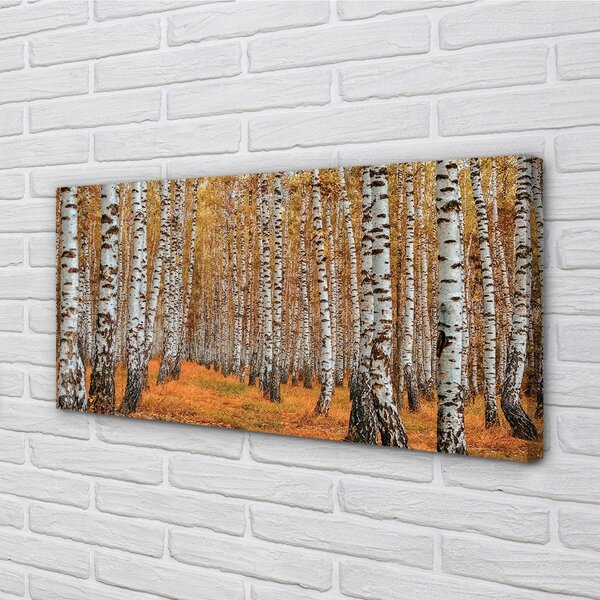 Tablouri canvas copaci de toamnă