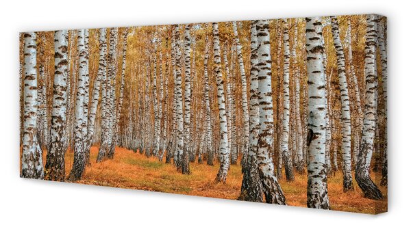 Tablouri canvas copaci de toamnă