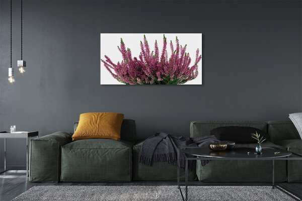 Tablouri canvas Heathers