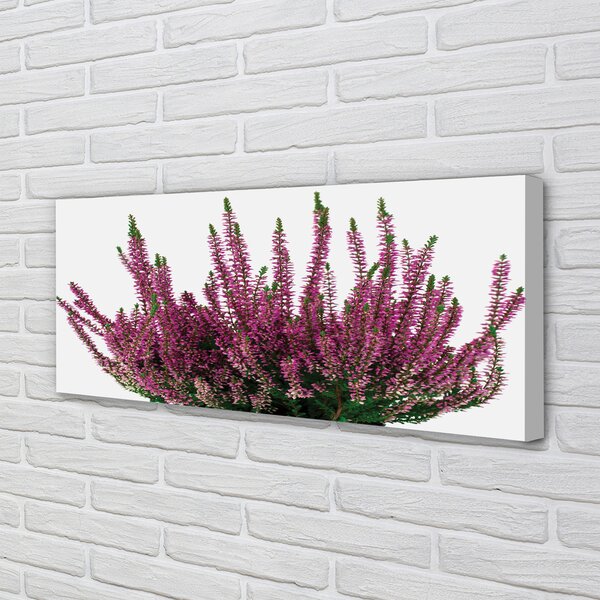 Tablouri canvas Heathers